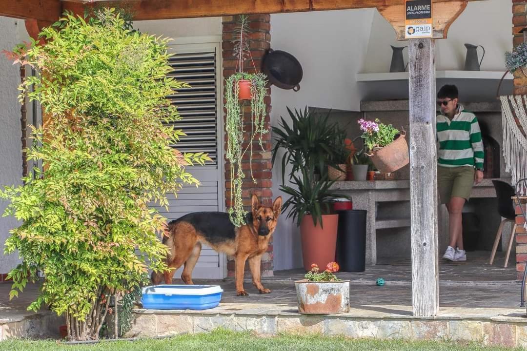 Villa dos Corcéis Esposende Exterior foto